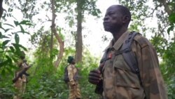 Au Soudan du Sud, la lutte contre le braconnage s'organise