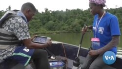 Cameroon NGO Creates App to Track Endangered Marine Species