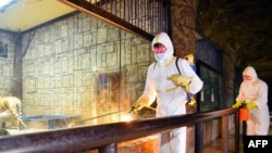 Karyawan Kebun Binatang mendisinfeksi kebun binatang untuk mencegah penyebaran COVID-19 di Pyongyang. (Foto: via AFP)