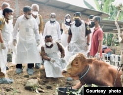 Menteri Pertanian Indonesia Syahrul Yasin Limpo (ketiga dari kiri) beserta tim memantau kondisi ternak dalam rangka mencegah wabah penyakit kuku dan mulut yang menyerang sapi di Indonesia. (Foto: Ditjen PKH Kementan)