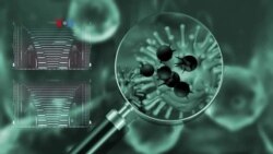 Seberapa Besar Ancaman Cacar Monyet?