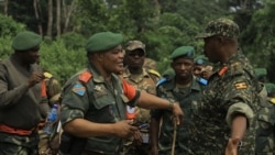 SML: UPDF na FARDC bayokani mpo na kokoba kobundisa ba ADF na Nord-est ya RDC