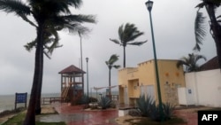 Njihanje palmi na vetru pred nalet uragana Agata u Huatulku, u Meksiku, 30. maja 2022. (Foto: AFP/Gil Obed)