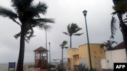Palm trees blow in the wind before Hurricane Agatha makes landfall in Huatulco, Oaxaca State, Mexico on May 30, 2022.
