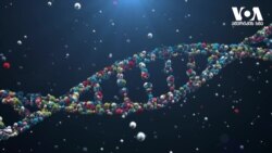 ომის გავლენა გლობალურ ეკონომიკაზე და დნმ-ის ახალი როლი -"სტუდია ვაშინგტონი"