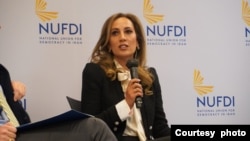 الی کوهانیم، دیپلمات سابق وزارت خارجه آمریکا در جریان جلسه نوفدی در واشنگتن