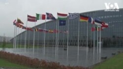 ანკარა სტოკჰოლმისა და ჰელსინკის წინააღმდეგ - ნატოს გაფართოება