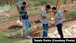 Researchers studying a malaria outbreak in Dire Dawa, Ethiopia, search for invasive Anopheles stephensi mosquitoes. (Tadele Emiru photo)