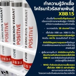 coronavirus xbb.1.5 variant infographic