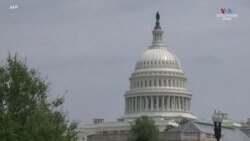 Ջորջիան կորոշի ԱՄՆ Սենատում քաղաքական ուժերի վերջնական հարաբերակցությունը 