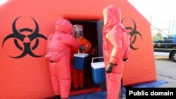 Azərbaycanda quş qripi ilə bağlı monitorinq (Rəsmi foto, mənbə AQTA) 