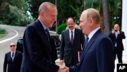 블라디미르 푸틴(오른쪽) 러시아 대통령과 레제프 타이이프 에르도안 터키 대통령이 지난 8월 러시아 흑해의 휴양 도시 소치에서 열린 정상회담 전 악수를 나누고 있다.(자료사진)