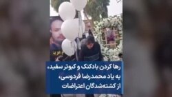 رها کردن بادکنک و کبوتر سفید، به یاد محمدرضا فردوسی، از کشته‌شدگان اعتراضات