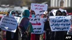 پیش از این نیز اتحادیۀ اروپا از نقض سیستماتیک حقوق بشر توسط طالبان در افغانستان اظهار نگرانی کرده بود.