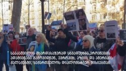 ფეიგანის კამპანია - „გადავარჩინოთ მიშა“ 