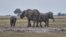 FILE - Elephants are seen on the Chobe river in Kasane, Botswana, July 20, 2022. 