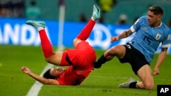 South Korea's Lee Kang-in falls after colliding with Uruguay's Federico Valverde during the World Cup Group H soccer match between Uruguay and South Korea, at the Education City Stadium in Al Rayyan , Qatar, Nov. 24, 2022.