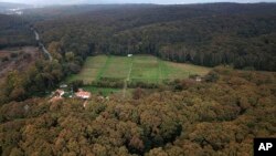 Šuma blizu Istanbula koju pretražuju turski istražitelji