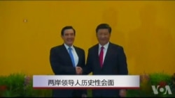 两岸领导人历史性会面 马英九提两岸和平繁荣五点主张