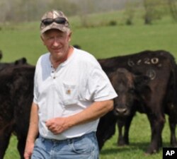 Rancher Bobby Simpson worries the elk will damage cattle fences and compete with livestock for forage.