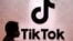 TikTok标识