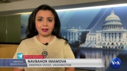 Amerika Manzaralari: Abort, Amazon, kalamushlar