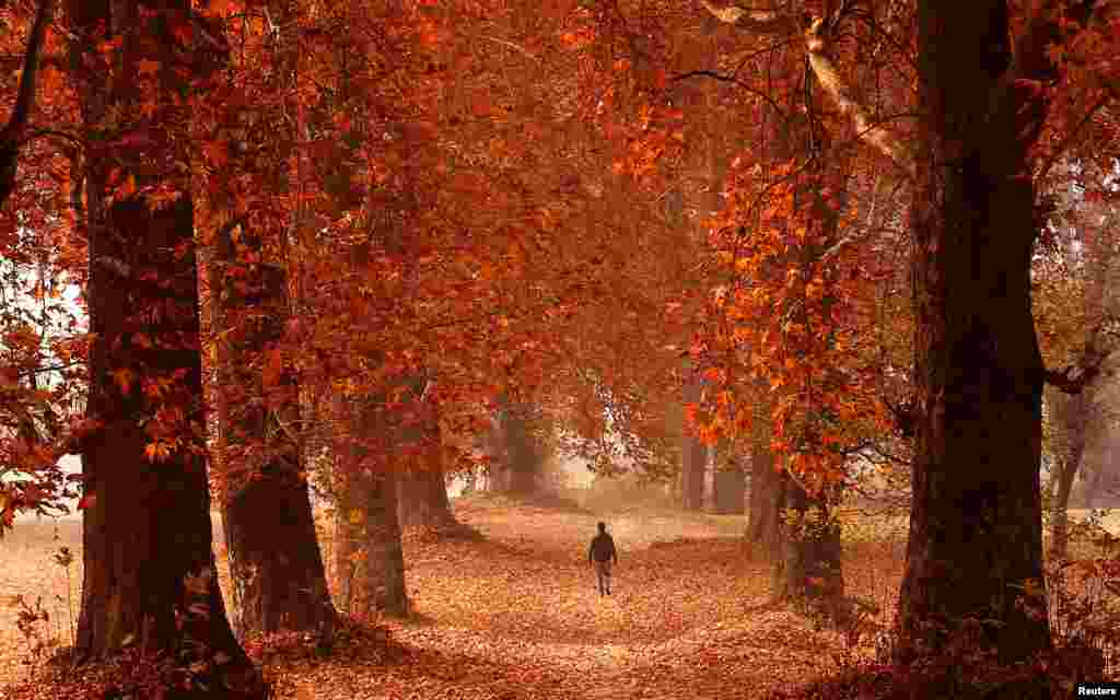 ინდოეთი