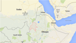 "የኦነግ ሸኔን ታጣቂዎች ትደግፋላችሁ" በሚል የታሰሩ ፍ/ቤት አልቀረቡም