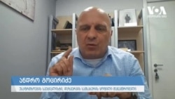 გოცირიძე პუტინისტური ჯგუფებისგან მომდინარე საფრთხის შესახებ