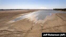 James Isaacks hoda po mjestu koje bi inače bilo pod vodom, nedaleko od mjesta Portadžvil. Nivo rijeke Misisipi u velikoj mjeri je snižen zbog nedostatka kiše, što je dovelo do niza problema. (Jeff Roberson/AP)