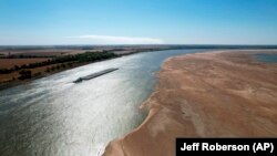 Teretni brod manevriše kroz rijeku Misisipi, čija širina je u velikoj mjeri sužena zbog nedostatka padavina i gotovo je dostigla rekordno niske nivoe.
