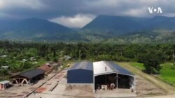 RDC: près du parc des Virunga , une industrie de café, chocolat et huile de palme