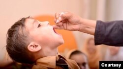 در طول چند ماه اخیر، موارد مثبت فلج اطفال در برخی ولایات به ویژه در جنوب افغانستان به طور دوامدار در حال افزایش است.