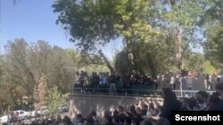 Təbriz Universitetində etiraz aksiyası keçirilib