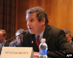 民主党联邦参议员布朗