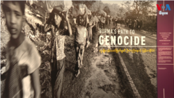 ពិព័រណ៍​អំពី​ជន​រ៉ូហ៊ីងយ៉ា​បង្ហាញ​នូវ​រឿងរ៉ាវ​ដ៏​ខ្មៅ​ងងឹត​របស់​ភូមា​ឆ្ពោះ​ទៅ​ដល់​ការ​ប្រល័យ​ពូជសាសន៍