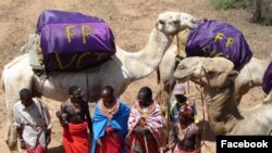 Organisasi nonpemerintah yang dikenal sebagai Communities Health Africa Trust (CHAT) membantu dengan cara mengangkut obat-obatan ke kawasan terpencil yang membutuhkan dengan menggunakan unta-unta. (Facebook/communitieshealthafrica)