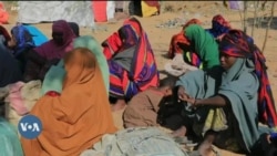 Tokkummaan Mootummootaa Beela Biyyootii Afriikaa fi Yemen Mudatetti Duuluuf Deggersa Doolaara Miliyoona 100 Kenne