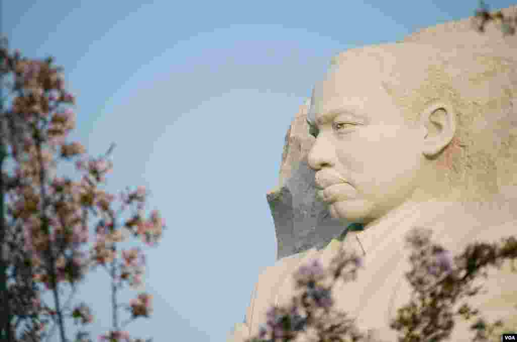 美国首都的潮汐湖畔有马丁&middot;路德&middot;金雕像（2018年4月13日）。2018年4月4号是美国民权运动领袖马丁&middot;路德&middot;金遇刺50周年纪念日。这位诺贝尔和平奖获得者在1968年遇刺身亡。纪念园位于两位美国前总统托马斯&middot;杰斐逊和林肯的纪念堂之间。