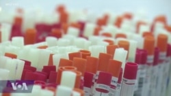 World Health Organization’s Global Effort to Help Bridge the Vaccination Gap in Africa