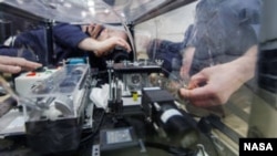 FLUTE researchers capture data while they push synthetic oil into a circular frame, momentarily forming a liquid lens during a 15 to 20-second period of microgravity on a ZeroG parabolic flight. (Image Credits: Technion - Israel Institute of Technology)