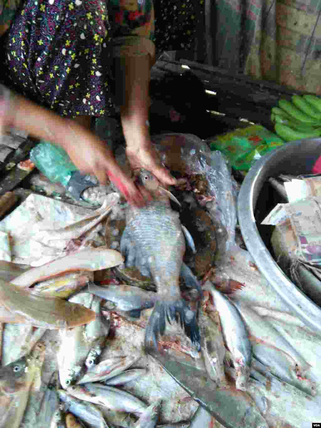 អ្នកលក់កំពុងស្រកាត្រីក្នុងផ្សារព្រែកចាម ពេលព្រឹក នៅភូមិស្វាយឃ្លាំង ឃុំស្វាយឃ្លាំង ស្រុកក្រូចឆ្មារ ខេត្តកំពង់ចាម នៅថ្ងៃអាទិត្យ ទី២៣ ខែកក្កដា ឆ្នាំ២០១៧។ (សើ សាយ្យាណា/VOA)