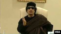 Meski menawarkan gencatan senjata, namun belum ada tanda-tanda bahwa pemimpin Libya Moammar Gaddafi bersedia mengundurkan diri.