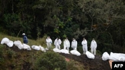 Rescue teams recover the bodies of victims of the LAMIA airlines charter that crashed in the mountains of Cerro Gordo, municipality of La Union, Colombia, Nov. 29, 2016, carrying members of the Brazilian football team Chapecoense Real.