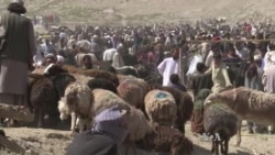 Hard Times Force Modifications of Muslim Holiday Traditions