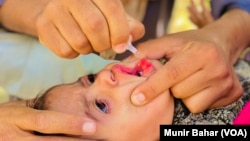 د ۲۰۲۲ کال د اکتوبر د میاشتې د ګوزڼ ضد کمپاین