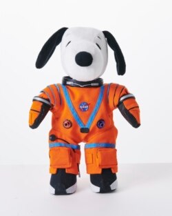 Snoopy in Space
