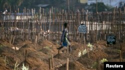 Cimetière de Freetown, 20 decembre 2014 