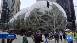 "Amazon" qarorgohidamiz