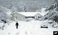 A lone figure walks down a snow covered street in King City, Oregon, Jan. 11, 2017.